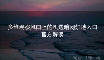 多维观察风口上的机遇暗网禁地入口官方解读