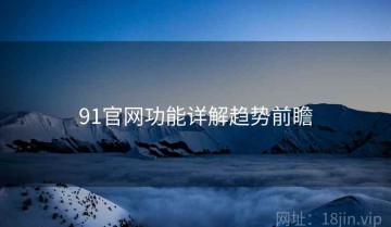 91官网功能详解趋势前瞻