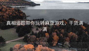 真相追踪带你玩转麻豆游戏，干货满满