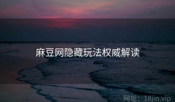 麻豆网隐藏玩法权威解读