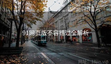 91网页版不容错过全解析