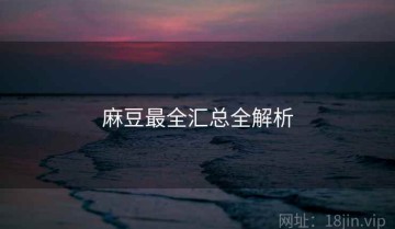 麻豆最全汇总全解析