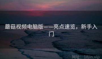 蘑菇视频电脑版——亮点速览，新手入门