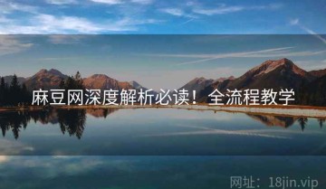 麻豆网深度解析必读！全流程教学