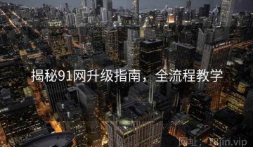 揭秘91网升级指南，全流程教学