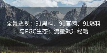 全景透视：91黑料、91官网、91爆料与PGC生态：流量飙升秘籍