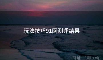 玩法技巧91网测评结果