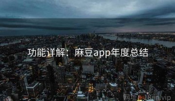 功能详解：麻豆app年度总结