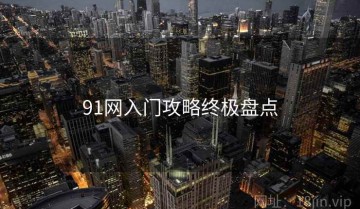 91网入门攻略终极盘点