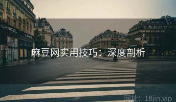 麻豆网实用技巧：深度剖析