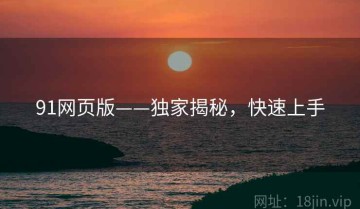91网页版——独家揭秘，快速上手
