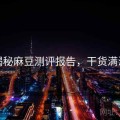 揭秘麻豆测评报告，干货满满