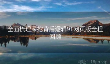 全面梳理深挖背后逻辑91网页版全程回顾