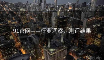 91官网——行业洞察，测评结果