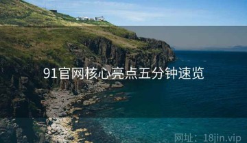 91官网核心亮点五分钟速览