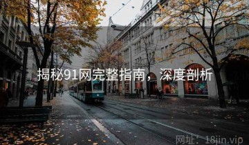 揭秘91网完整指南，深度剖析
