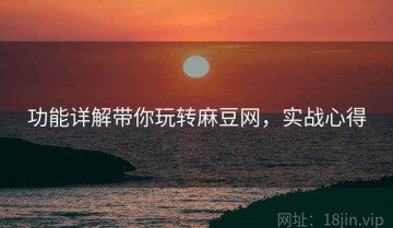 功能详解带你玩转麻豆网，实战心得