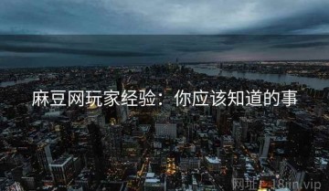 麻豆网玩家经验：你应该知道的事