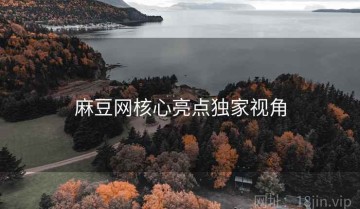 麻豆网核心亮点独家视角