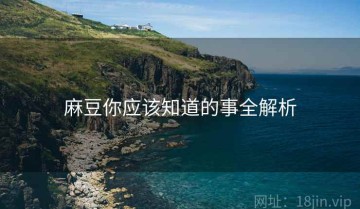 麻豆你应该知道的事全解析