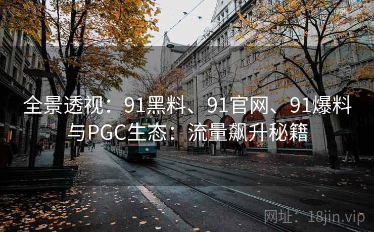 全景透视：91黑料、91官网、91爆料与PGC生态：流量飙升秘籍