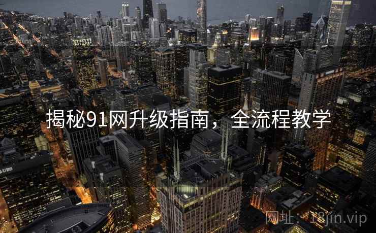 揭秘91网升级指南，全流程教学