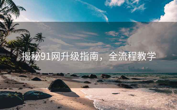 揭秘91网升级指南，全流程教学