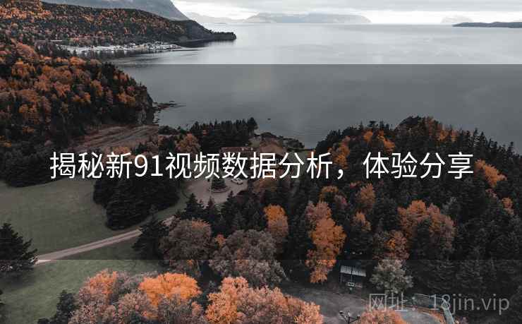揭秘新91视频数据分析，体验分享