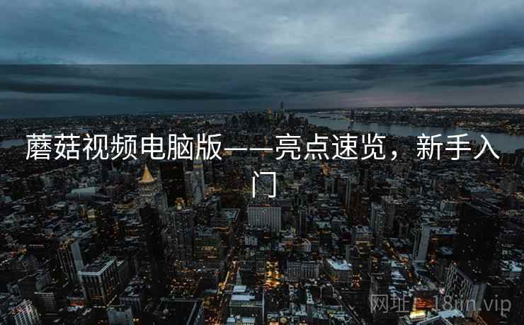 蘑菇视频电脑版——亮点速览，新手入门