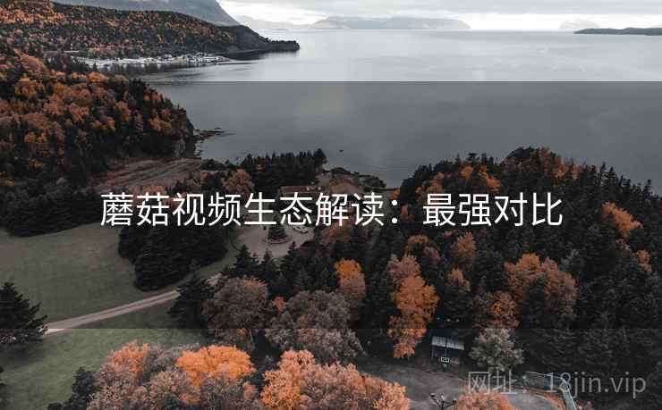 蘑菇视频生态解读：最强对比