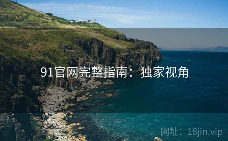 91官网完整指南：独家视角