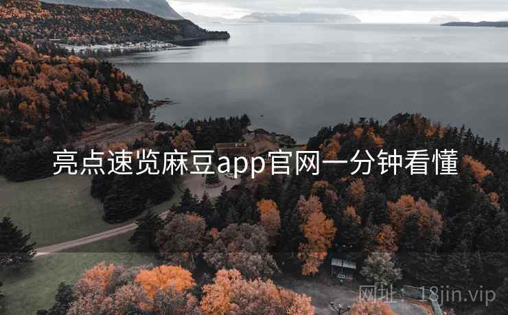 亮点速览麻豆app官网一分钟看懂