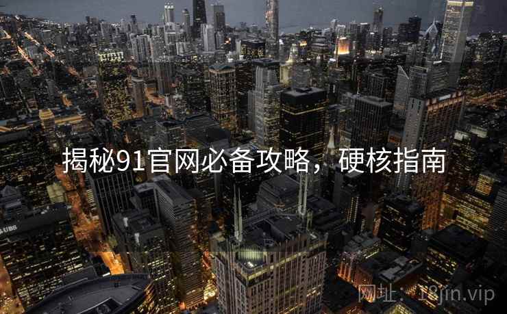 揭秘91官网必备攻略，硬核指南
