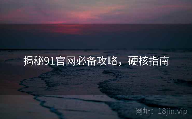 揭秘91官网必备攻略，硬核指南