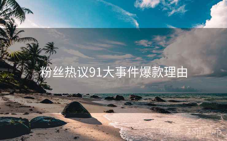 粉丝热议91大事件爆款理由