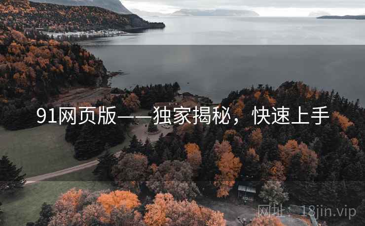 91网页版——独家揭秘，快速上手