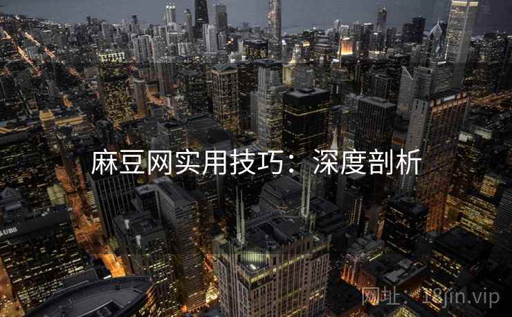 麻豆网实用技巧：深度剖析