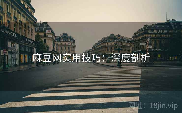 麻豆网实用技巧：深度剖析