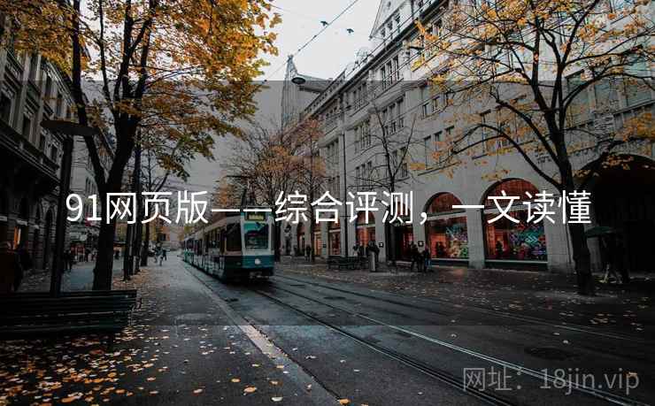 91网页版——综合评测，一文读懂