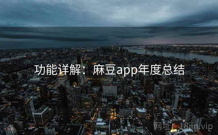 功能详解：麻豆app年度总结