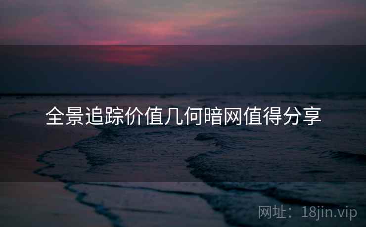全景追踪价值几何暗网值得分享
