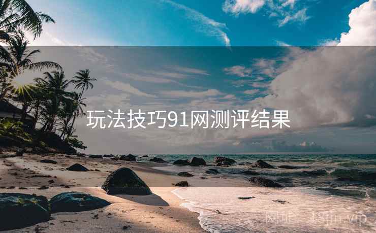 玩法技巧91网测评结果