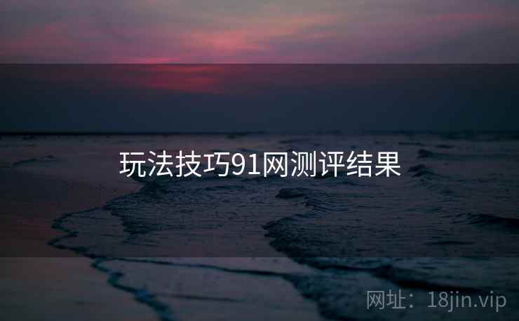 玩法技巧91网测评结果
