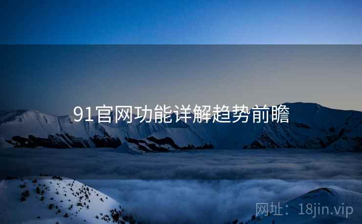 91官网功能详解趋势前瞻